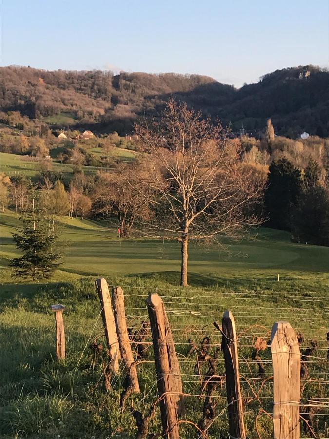 Golf Val De Sorne Vernantois Maison Vigneronne Esterno foto